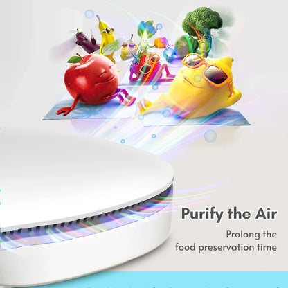 Fridge Deodorize Air Purifier Mini USB