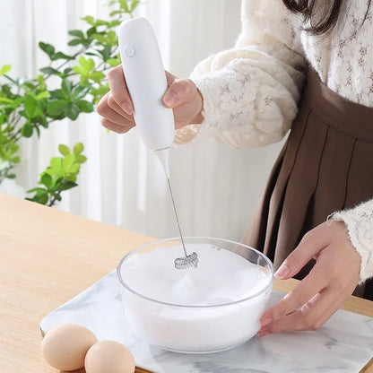 Handheld Egg Beater Froth Mixer